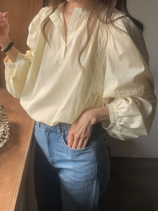 Solid Mock Neck Semi-sheer Blouse, Casual Lantern Sleeve Blouse For Spring & Fall, Women's Clothing